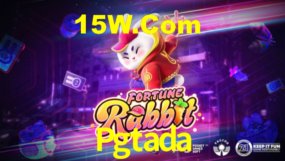 Premium Interface Pgtada